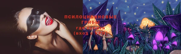 хмурый Заводоуковск