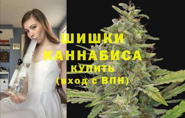 хмурый Заводоуковск