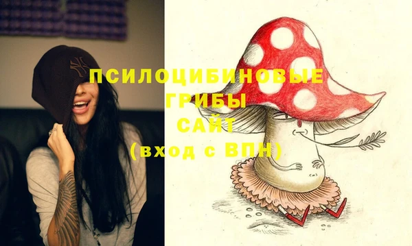 молекула духа Заволжье