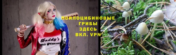 молекула духа Заволжье