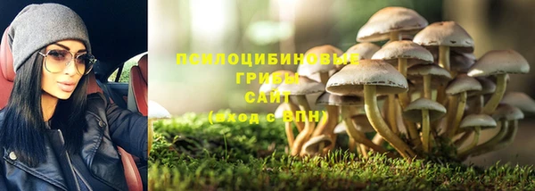 хмурый Заводоуковск